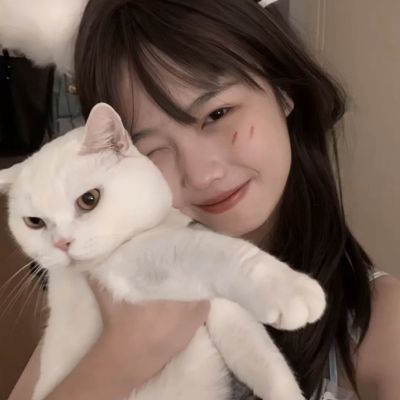 梦仙灵内购破解版下载